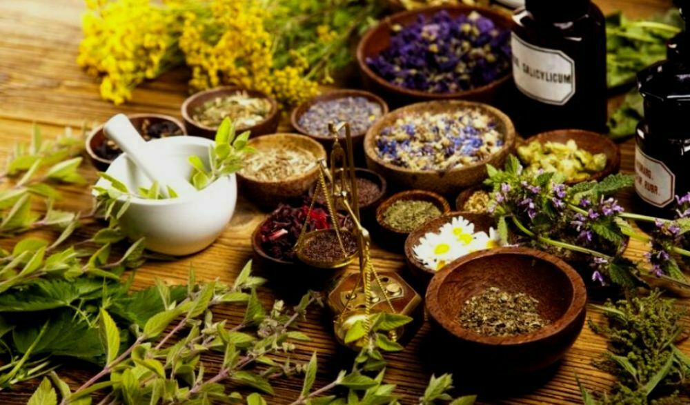 300 Hour Ayurveda Practitioner Course In Rishikesh