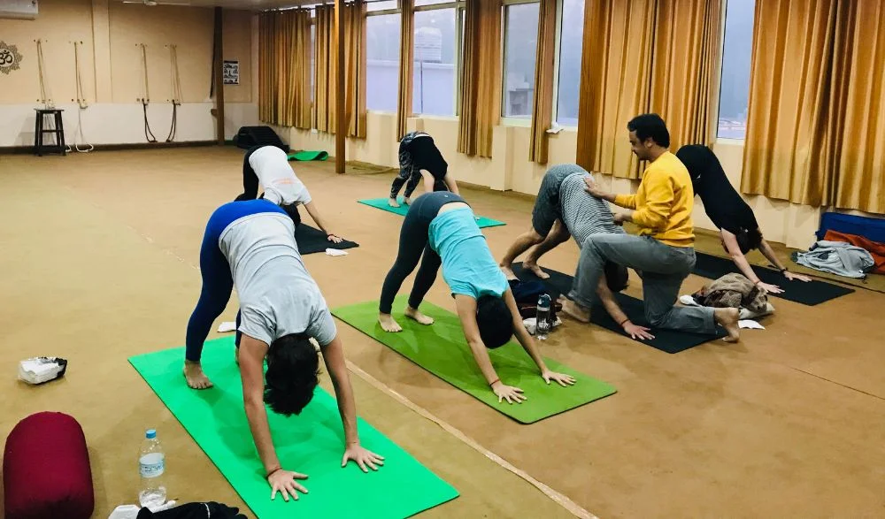 Discover Your Power: Chaturanga Dandasana Workshop — CENTER Yoga + Wellness