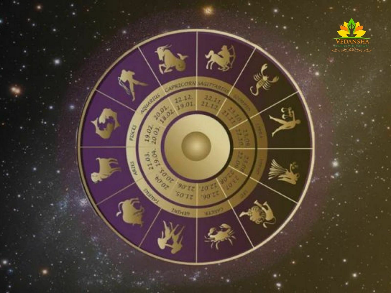 vedic astrology 