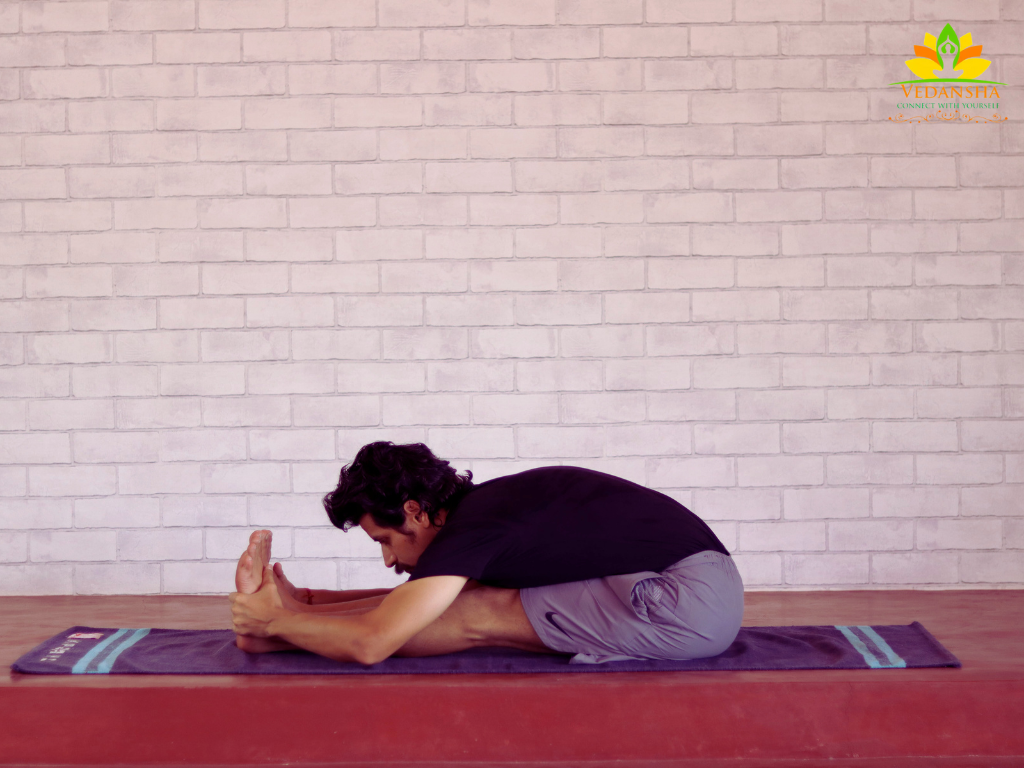 Seated Forward Bend (Paschimottanasana)