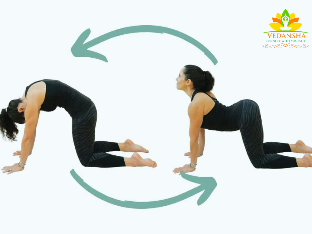 Cat-Cow Pose (Marjaryasana-Bitilasana